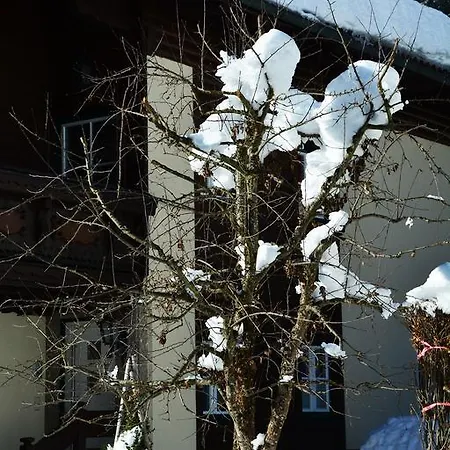 Haus Anni *